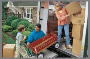 Packers and Movers Jharli